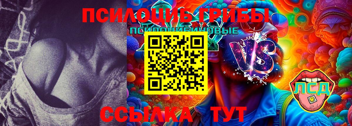 Галлюциногенные грибы Cubensis Мценск